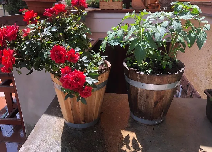 Hotel Obecna Skola Svatý Jan pod Skalou